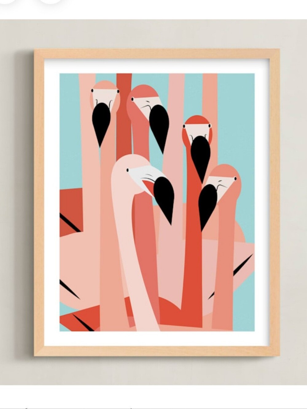 The Flamingos Are Staring Print